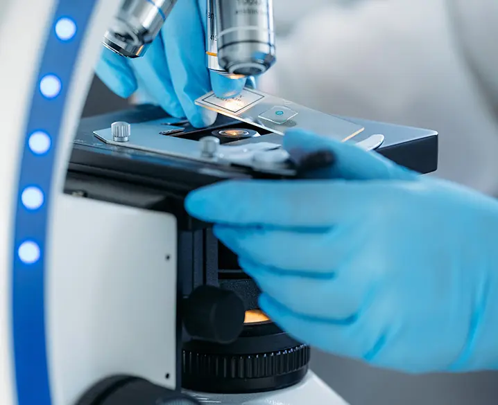 Microscope